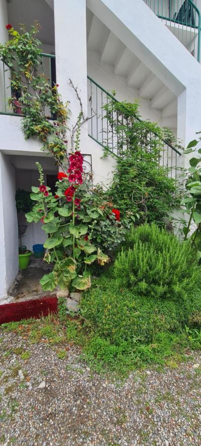 Da Ersilia Apartman Cernobbio Kültér fotó