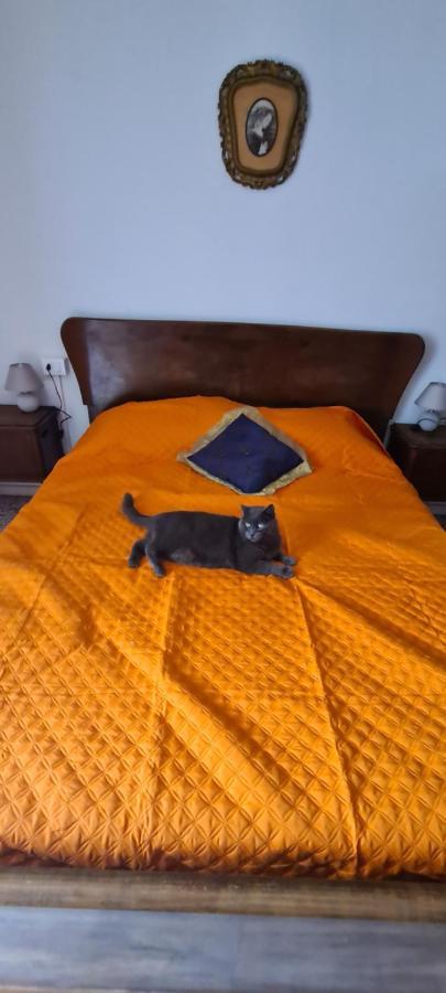 Da Ersilia Apartman Cernobbio Kültér fotó